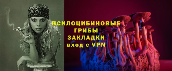 марки lsd Краснослободск