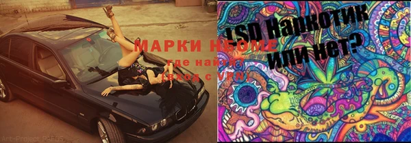тгк Чердынь