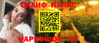 метадон Гай