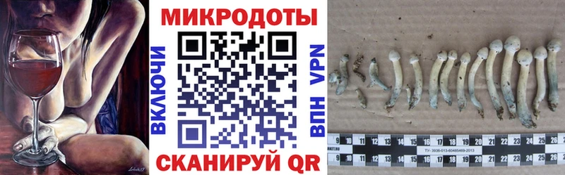 Псилоцибиновые грибы мицелий  Ростов-на-Дону 