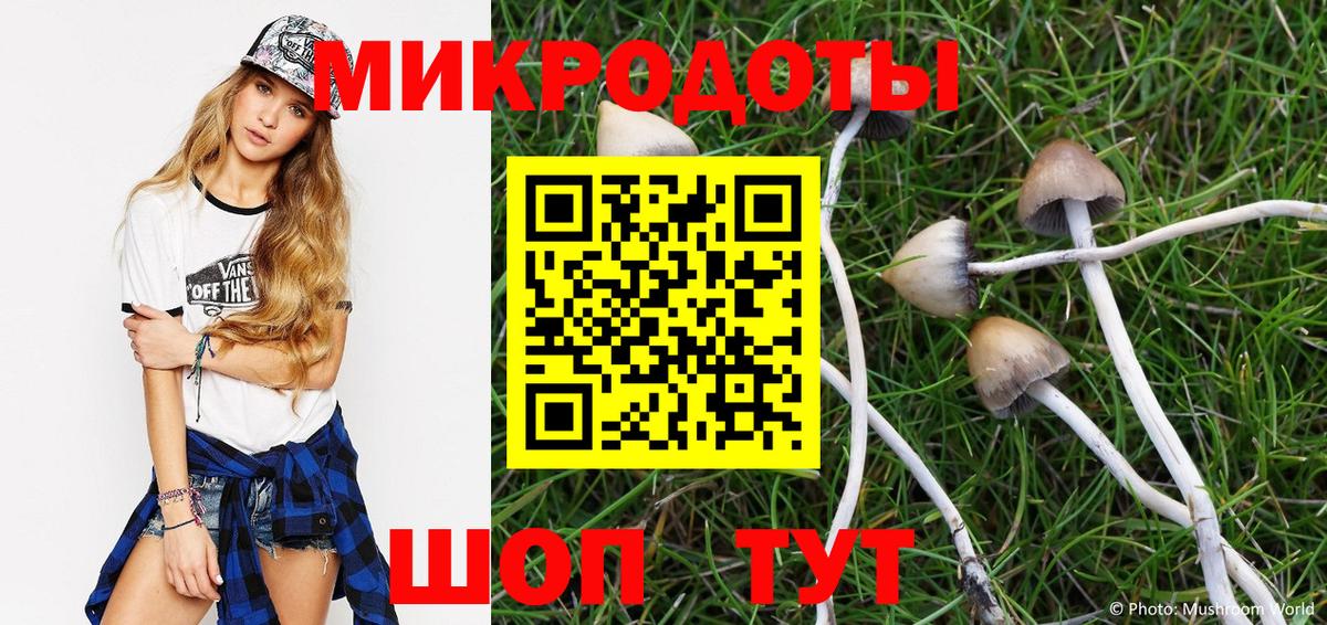 Галлюциногенные грибы MAGIC MUSHROOMS  Галлюциногенные грибы Magic Shrooms  Ростов-на-Дону 