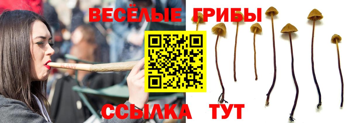 Ростов-на-Дону  Псилоцибиновые грибы GOLDEN TEACHER  Вход с VPN  Галлюциногенные грибы прущие грибы 